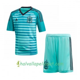 Jalkapallo Pelipaidat Espanja Maalivahti Lasten World Cup 2018 Kotipaita