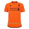 Jalkapallo Pelipaidat Liverpool 3 Paita 2017-2018 Lyhythihainen