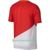 Jalkapallo Pelipaidat AS Monaco Kotipaita 2017-2018 Lyhythihainen