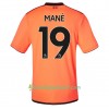 Jalkapallo Pelipaidat Liverpool 3rd Mané Pelipaita 2017-2018 Lyhythihainen