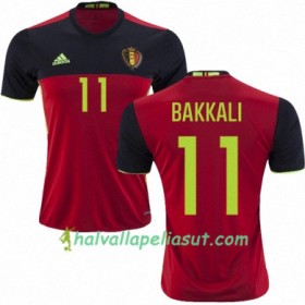 Jalkapallo Pelipaidat Belgia ZAKARIA BAKKALI Kotipaita Euro 2016