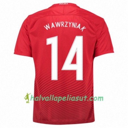Jalkapallo Pelipaidat Puola JAKUB WAWRZYNIAK Vieraspaita Euro 2016