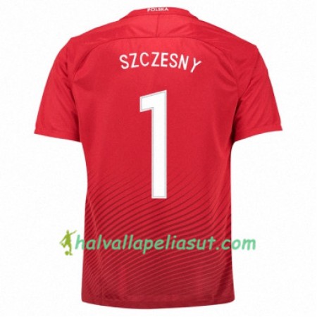 Jalkapallo Pelipaidat Puola WOJCIECH SZCZESNY Vieraspaita Euro 2016