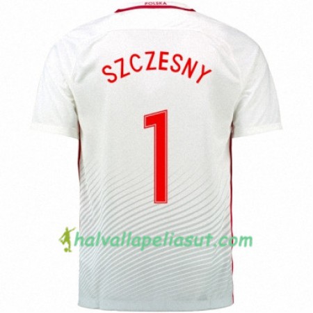 Jalkapallo Pelipaidat Puola WOJCIECH SZCZESNY Kotipaita Euro 2016
