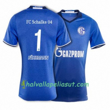 Jalkapallo Pelipaidat FC Schalke 04 FAHRMANN 1 Kotipaita 2017-2018 Lyhythihainen