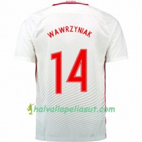 Jalkapallo Pelipaidat Puola JAKUB WAWRZYNIAK Kotipaita Euro 2016