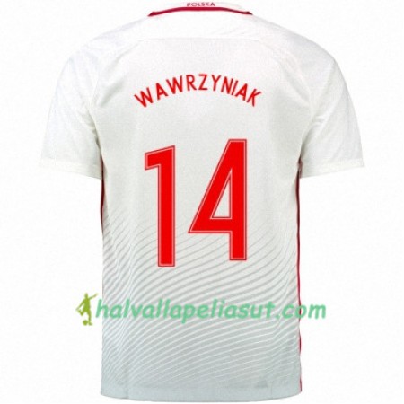 Jalkapallo Pelipaidat Puola JAKUB WAWRZYNIAK Kotipaita Euro 2016