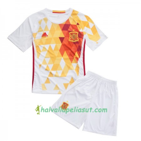Jalkapallo Pelipaidat Espanja Lasten Kotipaita Euro 2016