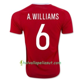 Jalkapallo Pelipaidat Wales A WILLIAMS Kotipaita Euro 2016