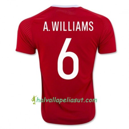 Jalkapallo Pelipaidat Wales A WILLIAMS Kotipaita Euro 2016