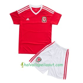 Jalkapallo Pelipaidat Wales Lasten Kotipaita Euro 2016