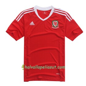 Jalkapallo Pelipaidat Wales Kotipaita Euro 2016
