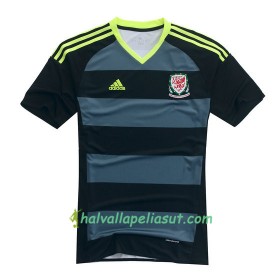 Jalkapallo Pelipaidat Wales Vieraspaita Euro 2016
